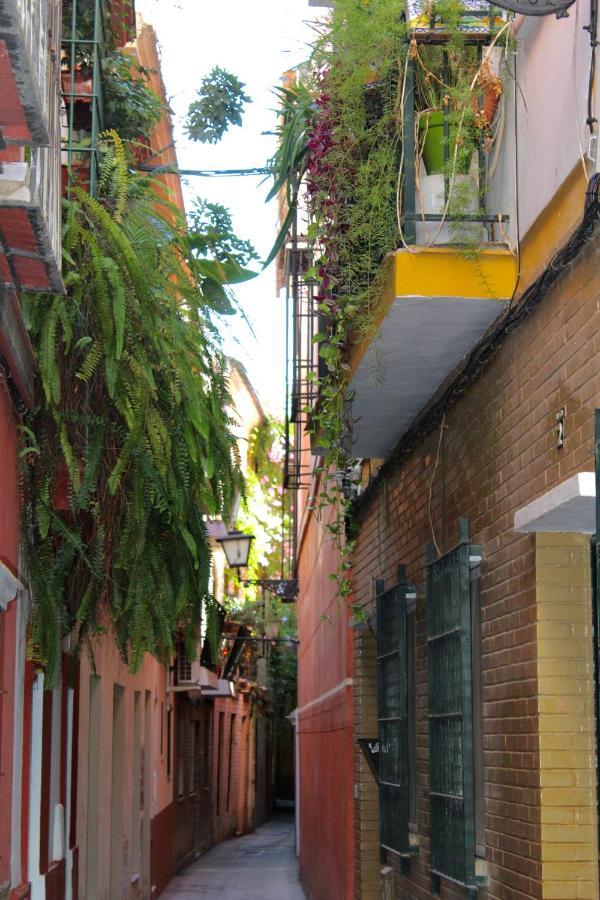 Green Street Sevilla Exteriér fotografie